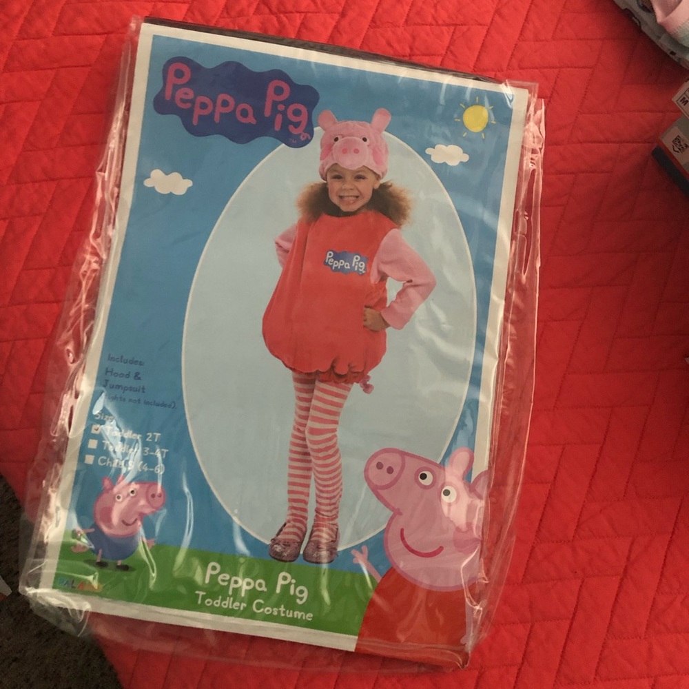 Peppa Pig 2t costume